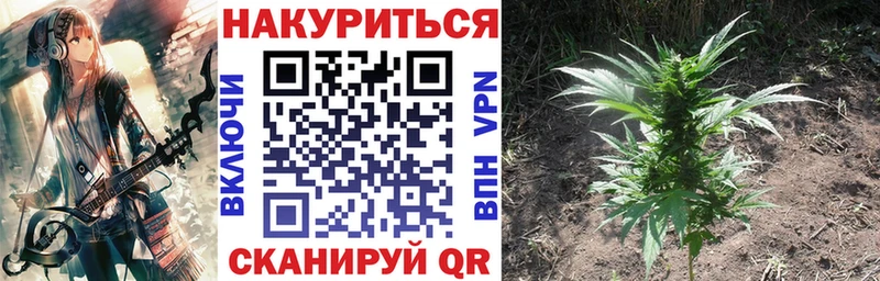 хочу наркоту  Цивильск  Марихуана VHQ 